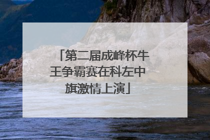 第二届成峰杯牛王争霸赛在科左中旗激情上演