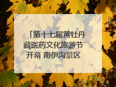 第十七届黄牡丹藏医药文化旅游节开幕 南伊沟景区重新开放