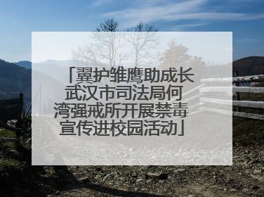 翼护雏鹰助成长 武汉市司法局何湾强戒所开展禁毒宣传进校园活动