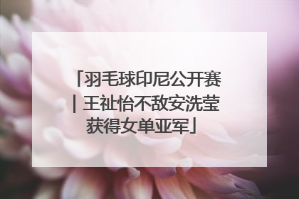 羽毛球印尼公开赛｜王祉怡不敌安洗莹 获得女单亚军