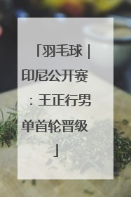 羽毛球｜印尼公开赛：王正行男单首轮晋级