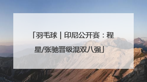 羽毛球｜印尼公开赛：程星/张驰晋级混双八强