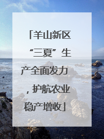 羊山新区“三夏”生产全面发力，护航农业稳产增收