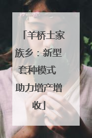 羊桥土家族乡：新型套种模式 助力增产增收
