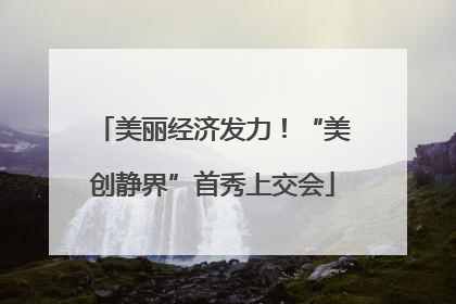 美丽经济发力！“美创静界”首秀上交会