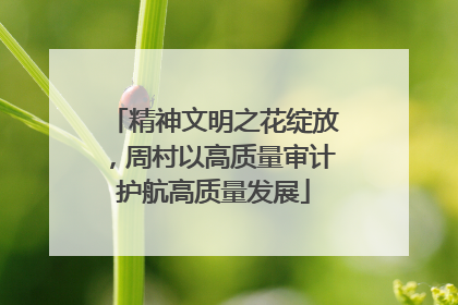 精神文明之花绽放，周村以高质量审计护航高质量发展