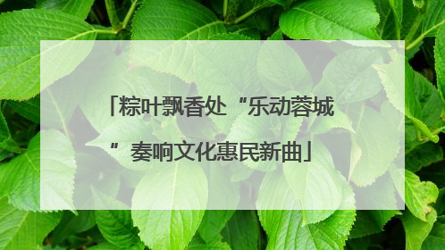 粽叶飘香处“乐动蓉城”奏响文化惠民新曲