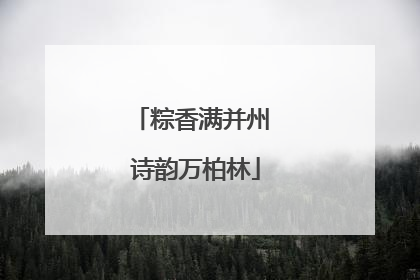 粽香满并州 诗韵万柏林