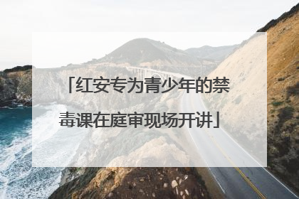 红安专为青少年的禁毒课在庭审现场开讲
