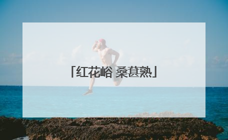 红花峪 桑葚熟