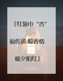 红领巾“杏”福传递 粽香情暖夕阳红