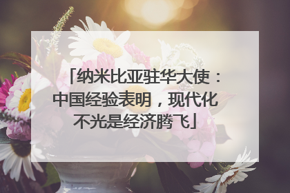 纳米比亚驻华大使：中国经验表明，现代化不光是经济腾飞
