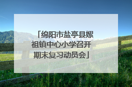 绵阳市盐亭县嫘祖镇中心小学召开期末复习动员会