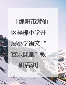 绵阳市游仙区梓棉小学开展小学语文“富乐课堂”教研活动