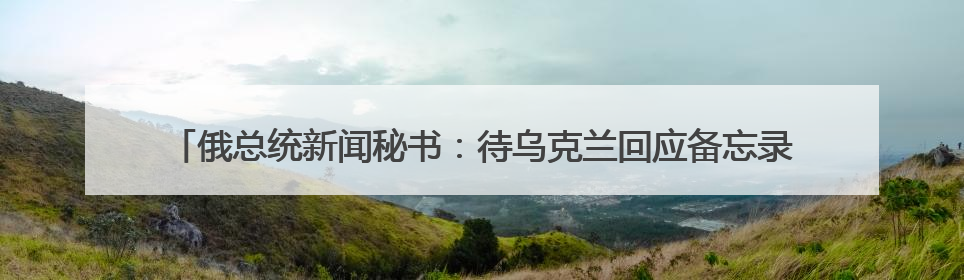 俄总统新闻秘书：待乌克兰回应备忘录草案 俄美乌领导人近期会晤可能性小
