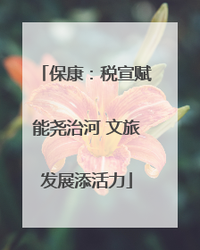 保康：税宣赋能尧治河 文旅发展添活力