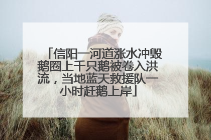 信阳一河道涨水冲毁鹅圈上千只鹅被卷入洪流，当地蓝天救援队一小时赶鹅上岸