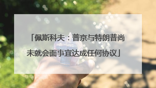 佩斯科夫：普京与特朗普尚未就会面事宜达成任何协议