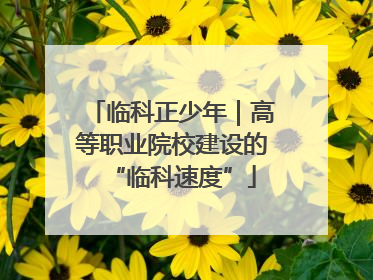 临科正少年｜高等职业院校建设的“临科速度”