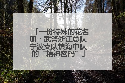 一份特殊的花名册：武警浙江总队宁波支队镇海中队的“精神密码”