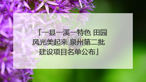 一县一溪一特色 田园风光美起来 泉州第二批建设项目名单公布