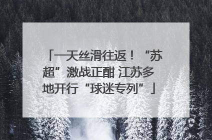 一天丝滑往返！“苏超”激战正酣 江苏多地开行“球迷专列”