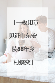 一枚印章见证山东安陵88年乡村蝶变