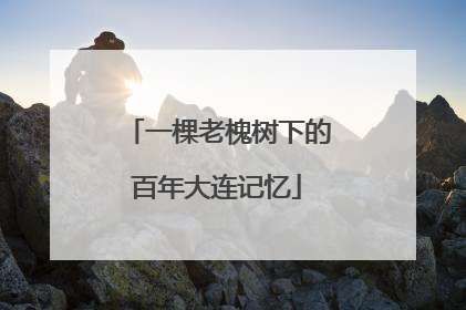 一棵老槐树下的百年大连记忆