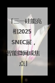 三一硅能亮相2025 SNEC展，智能微网成焦点