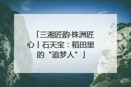 三湘匠韵·株洲匠心丨石天宝：稻田里的“追梦人”