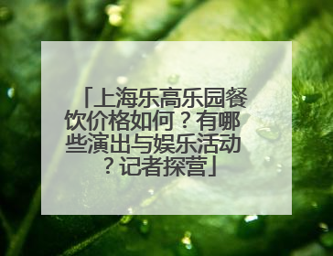 上海乐高乐园餐饮价格如何？有哪些演出与娱乐活动？记者探营