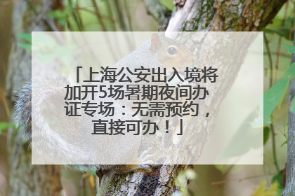上海公安出入境将加开5场暑期夜间办证专场：无需预约，直接可办！