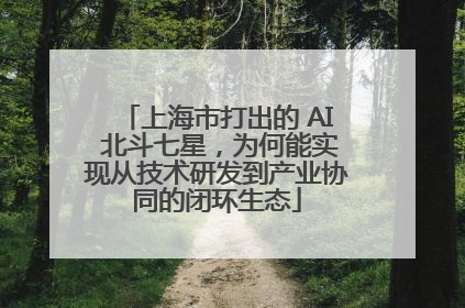 上海市打出的 AI 北斗七星，为何能实现从技术研发到产业协同的闭环生态