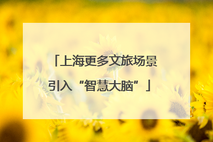 上海更多文旅场景引入“智慧大脑”
