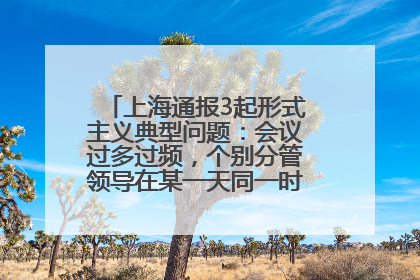 上海通报3起形式主义典型问题：会议过多过频，个别分管领导在某一天同一时段需参加3个会议