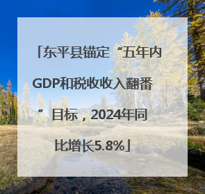 东平县锚定“五年内GDP和税收收入翻番”目标，2024年同比增长5.8%