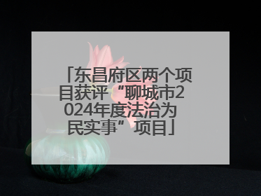 东昌府区两个项目获评“聊城市2024年度法治为民实事”项目