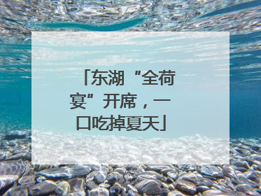 东湖“全荷宴”开席，一口吃掉夏天