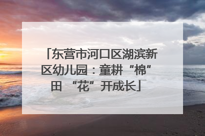 东营市河口区湖滨新区幼儿园：童耕“棉”田 “花”开成长