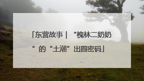 东营故事｜“槐林二奶奶”的“土潮”出圈密码