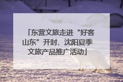 东营文旅走进“好客山东”开封、沈阳夏季文旅产品推广活动