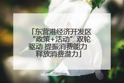东营港经济开发区“政策+活动”双轮驱动 提振消费能力 释放消费潜力