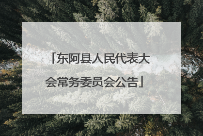 东阿县人民代表大会常务委员会公告