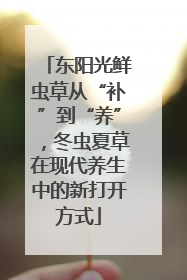东阳光鲜虫草从“补”到“养”，冬虫夏草在现代养生中的新打开方式