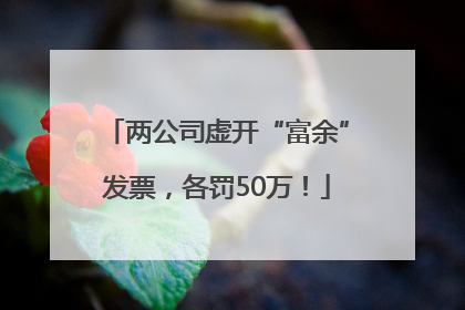 两公司虚开“富余”发票，各罚50万！