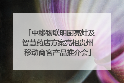 中移物联明厨亮灶及智慧药店方案亮相贵州移动商客产品推介会