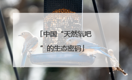 中国“天然氧吧”的生态密码