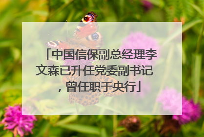 中国信保副总经理李文森已升任党委副书记，曾任职于央行