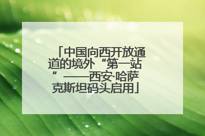 中国向西开放通道的境外“第一站”——西安·哈萨克斯坦码头启用
