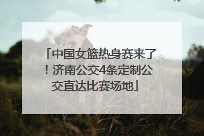 中国女篮热身赛来了！济南公交4条定制公交直达比赛场地